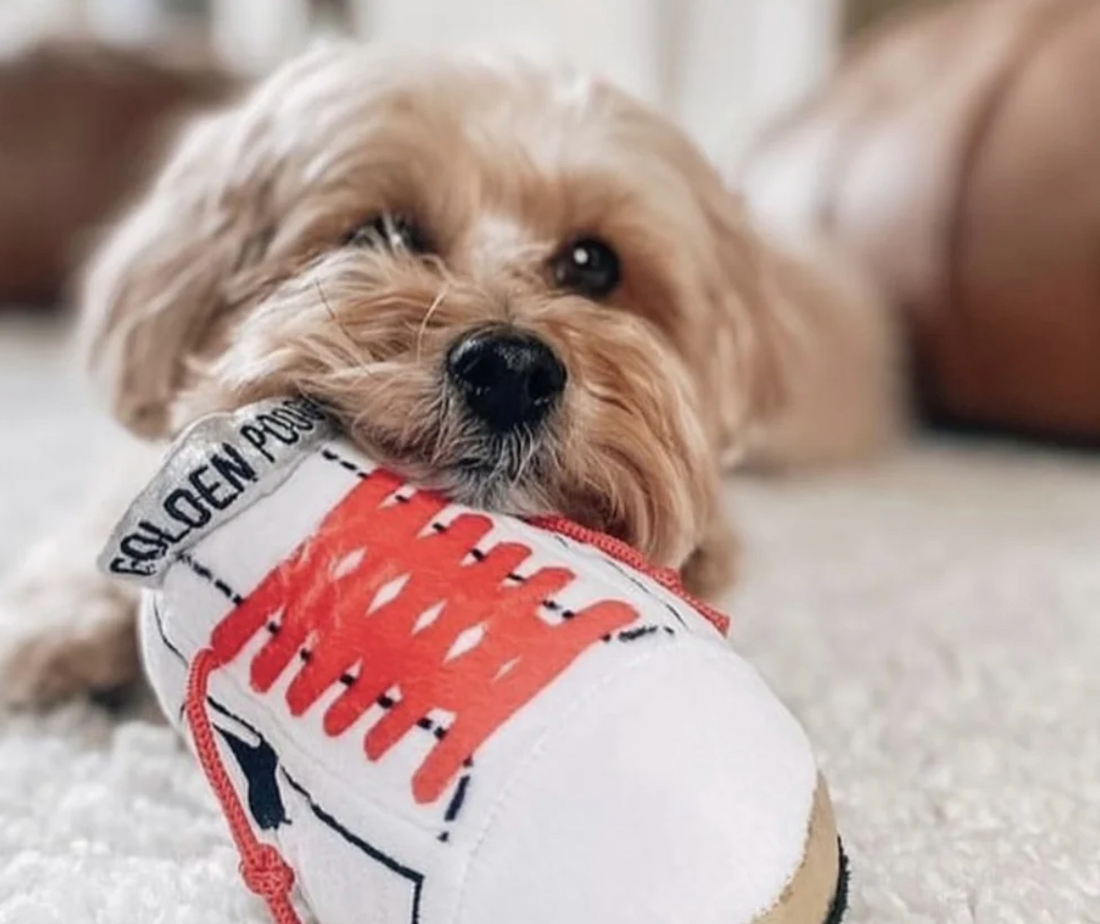 Celebrating Our Beloved Furry Friends at Veranda Cafe & Mercantile