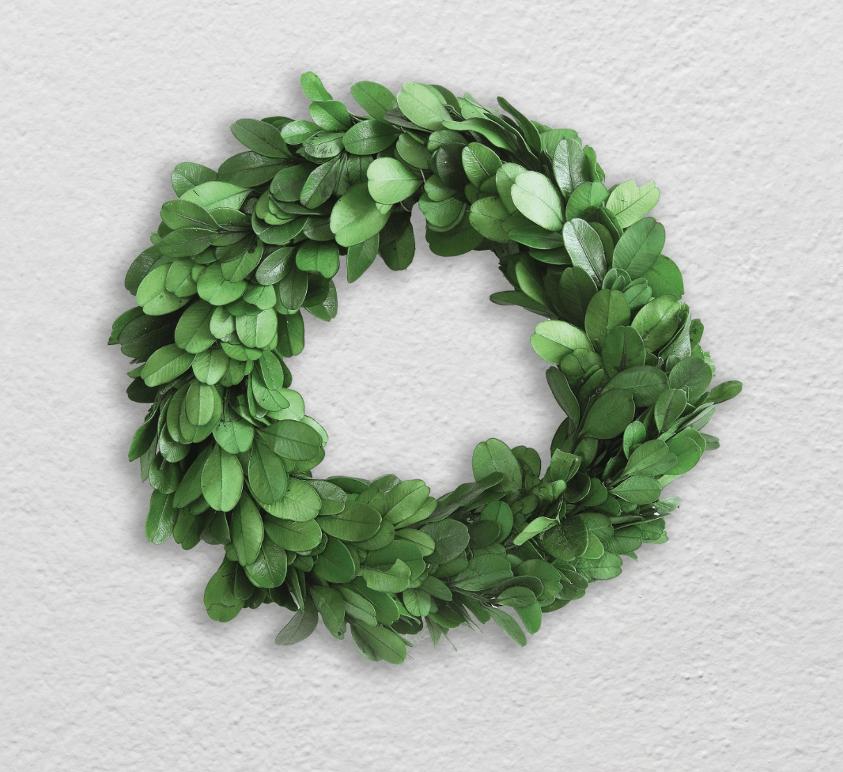 6" Round Preserved Boxwood Wreath - Veranda Cafe & Mercantile