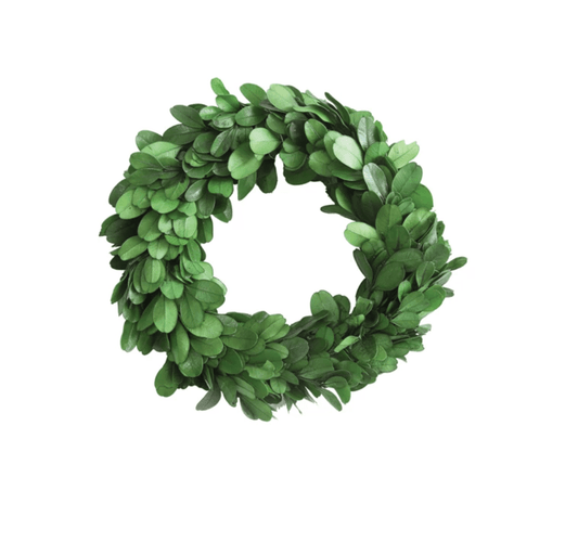 6" Round Preserved Boxwood Wreath - Veranda Cafe & Mercantile
