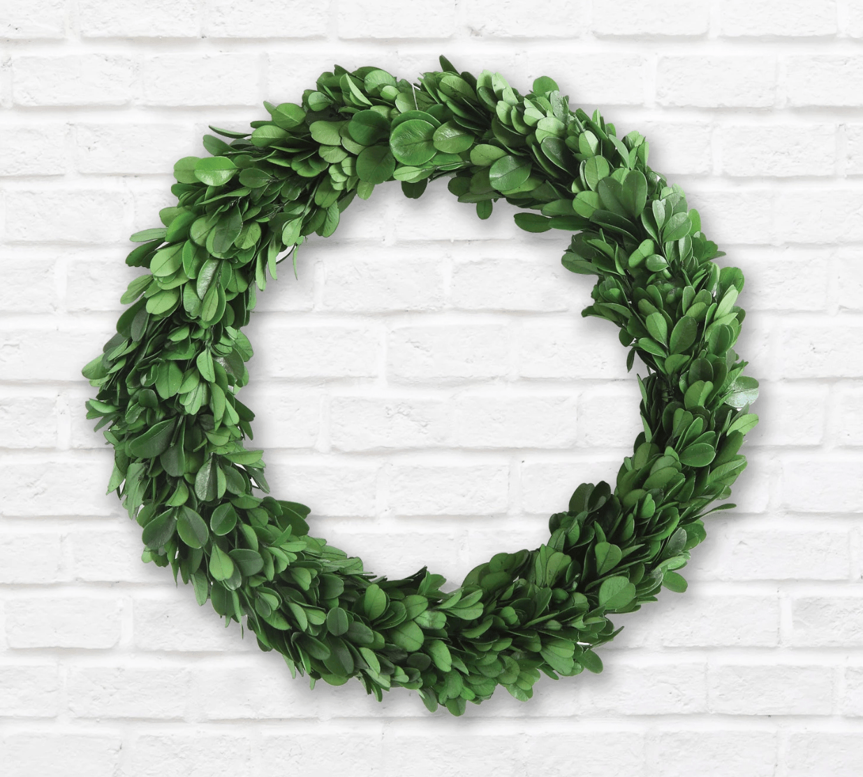 9 - 3/4" Round Preserved Boxwood Wreath - Veranda Cafe & Mercantile
