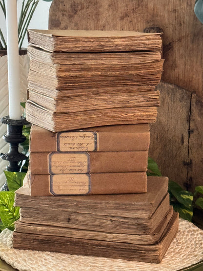 Antique French Rag Book