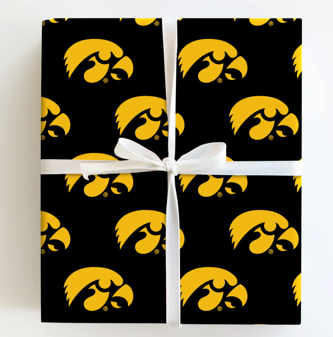 The Swarm - University of Iowa