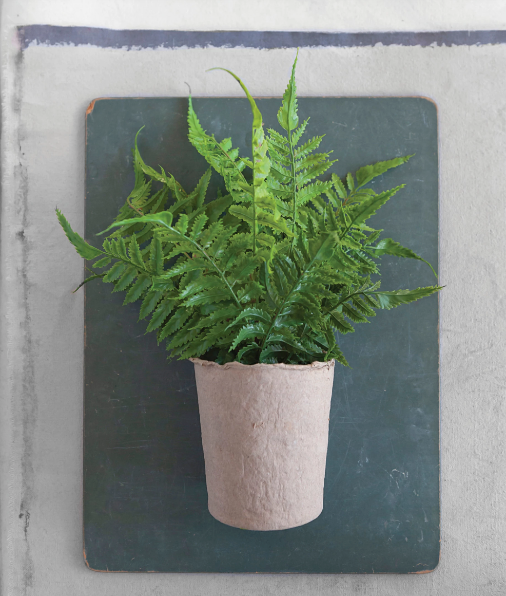 Faux Fern in Paper Pot