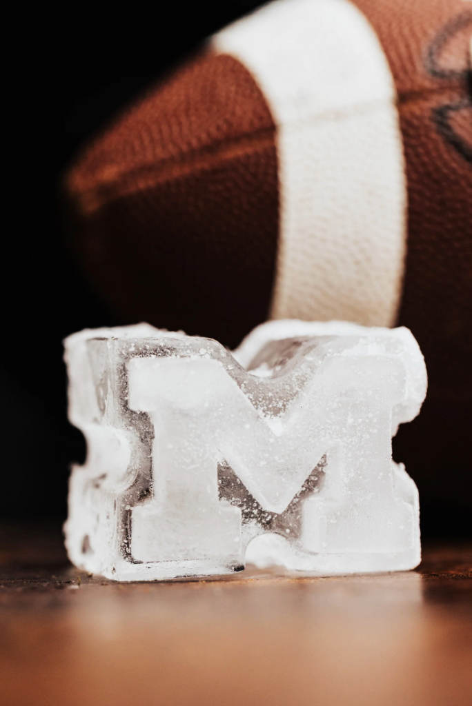 Michigan, University of Ice Molds Large