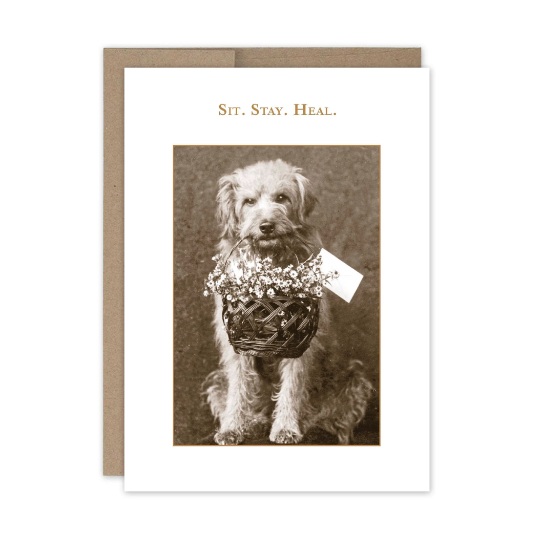 Sit. Stay. Heal. Get Well Card SM338