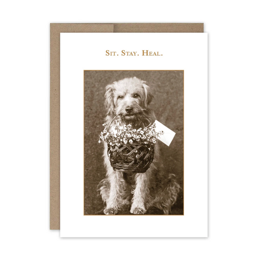Sit. Stay. Heal. Get Well Card SM338