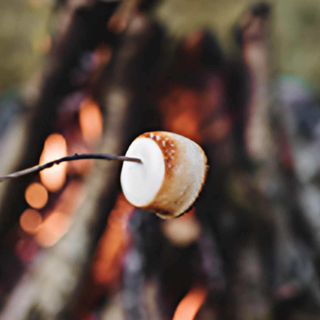 Fireside Marshmallow Soy Candle