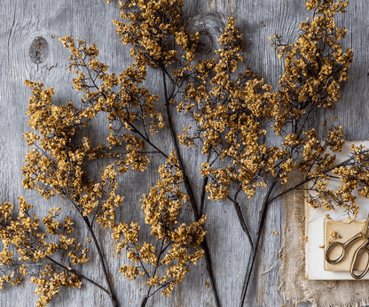 Artificial Sedge, Winter Saffron - Veranda Cafe & Mercantile