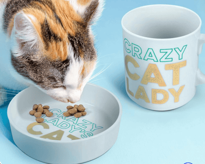 Ceramic Mug & Cat Bowl Set - Veranda Cafe & Mercantile