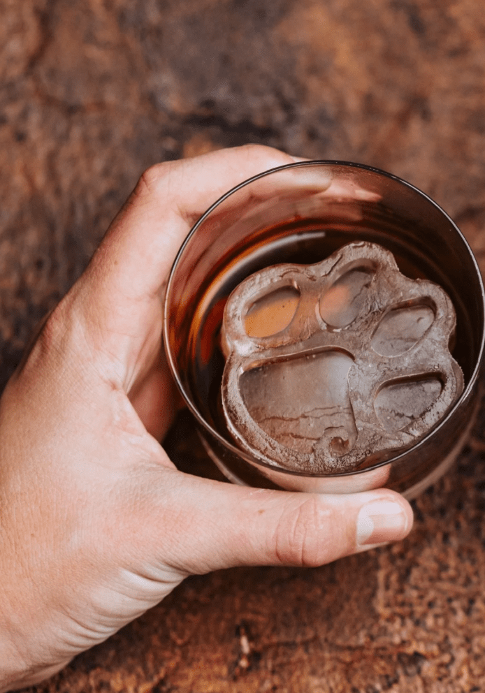 Clemson University Ice Molds Large - Veranda Cafe & Mercantile