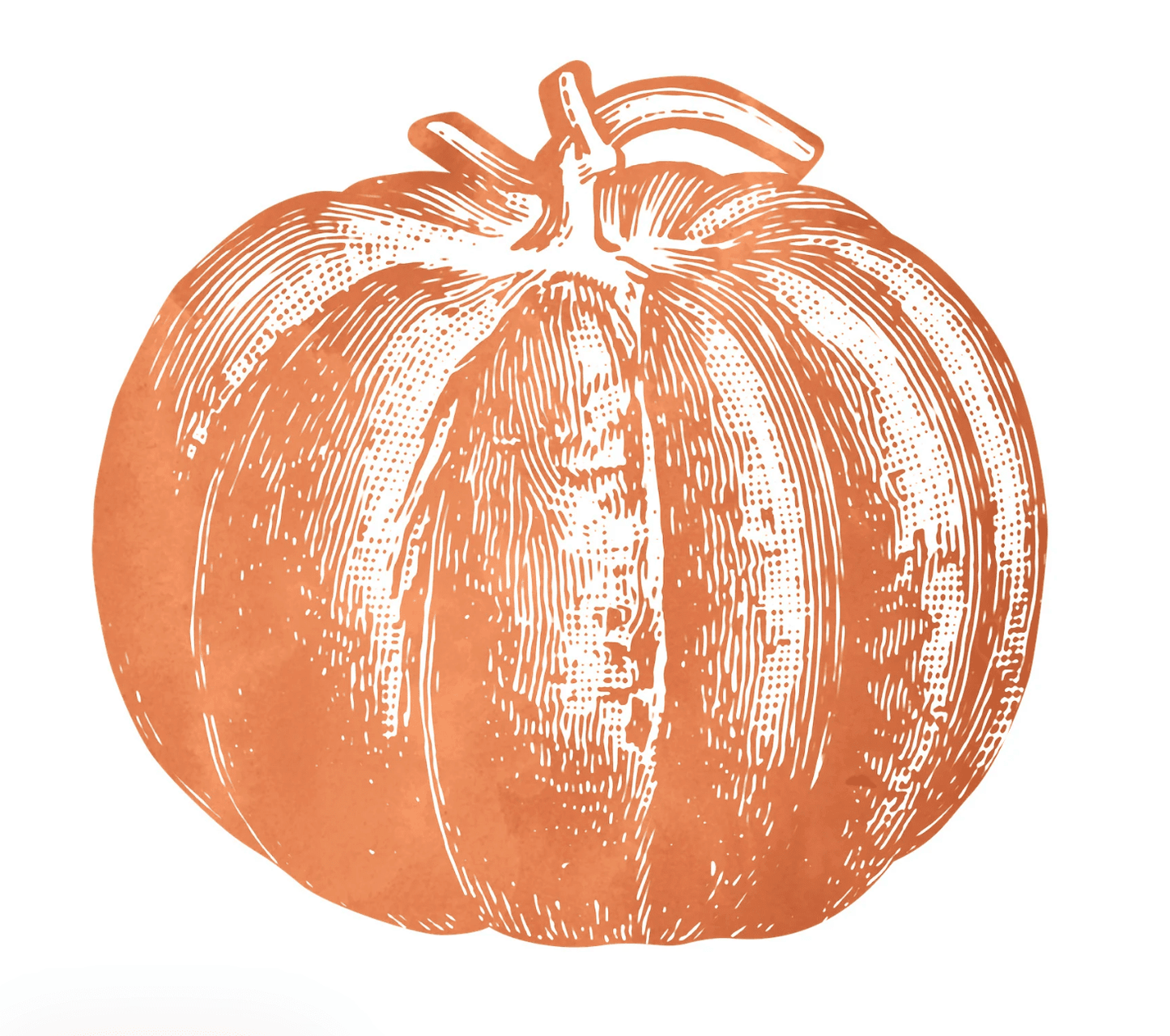 Die - cut Pumpkin Placemats - Set of 12 - Veranda Cafe & Mercantile