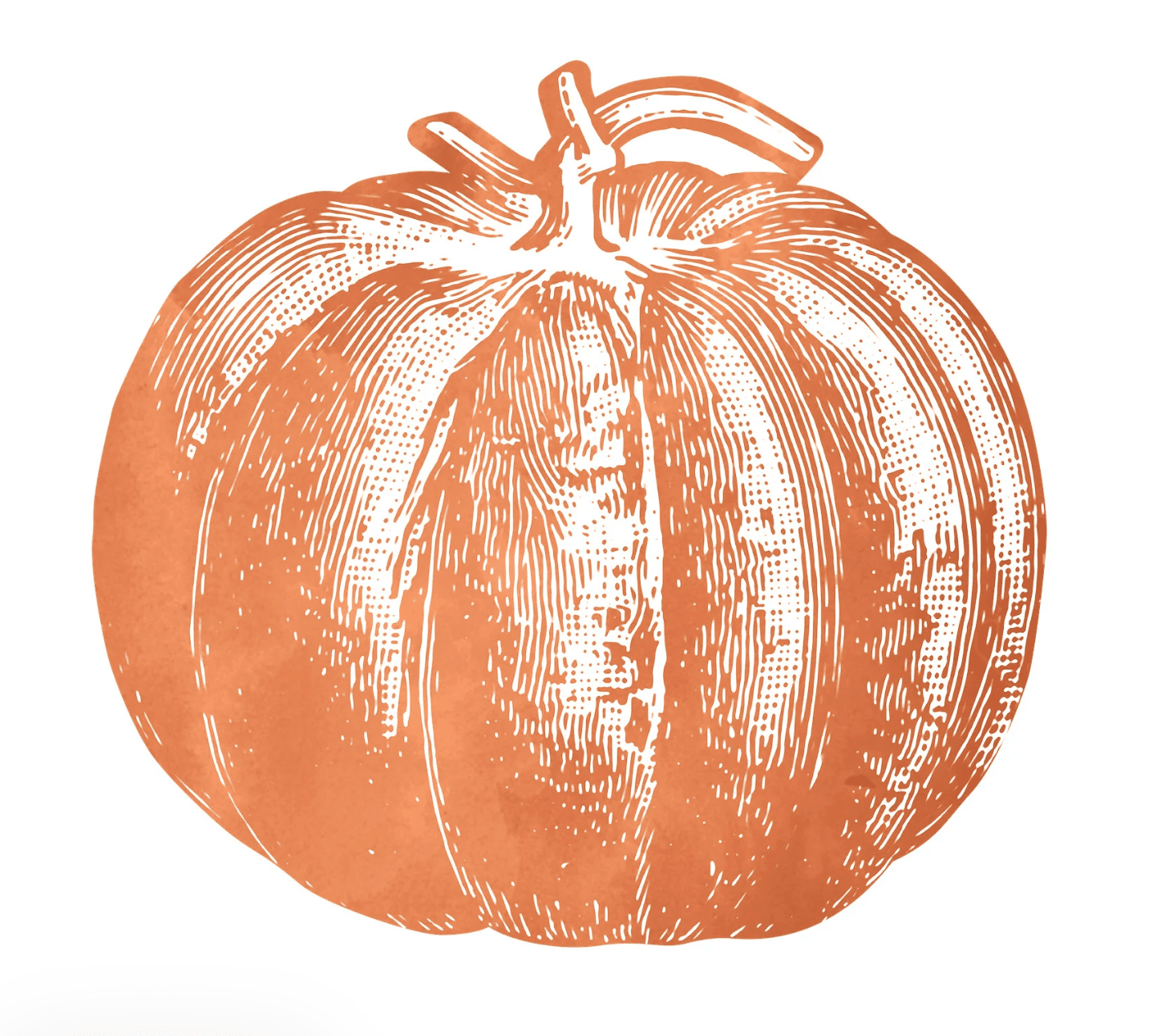 Die - cut Pumpkin Placemats - Set of 12 - Veranda Cafe & Mercantile