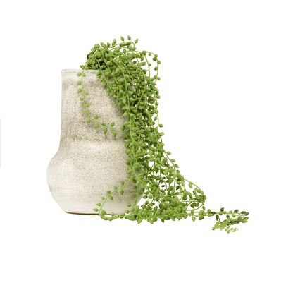 Faux String of Pearls Pick - 41" - Veranda Cafe & Mercantile