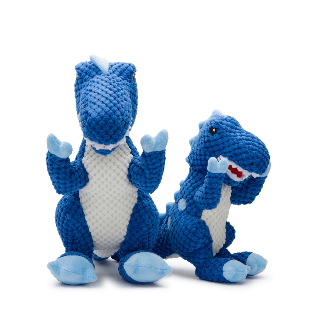 Floppy T - Rex - Veranda Cafe & Mercantile