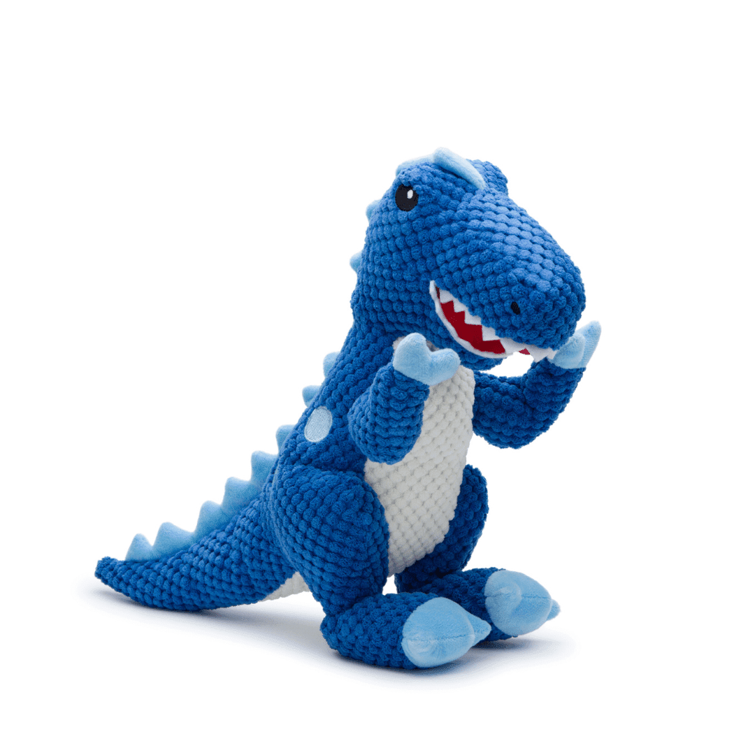 Floppy T - Rex - Veranda Cafe & Mercantile