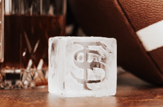 Florida State University Ice Molds Large - Veranda Cafe & Mercantile
