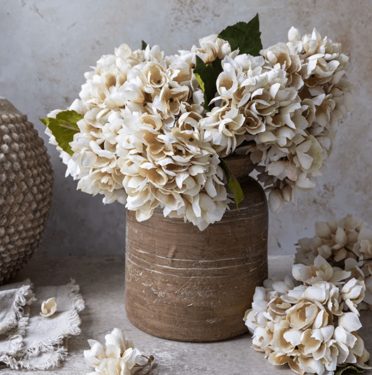 Hydrangea Morning Mist - Veranda Cafe & Mercantile