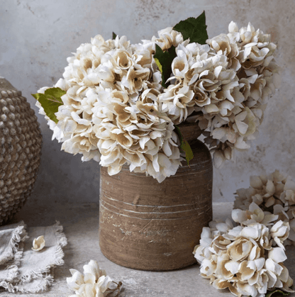 Hydrangea Morning Mist - Veranda Cafe & Mercantile