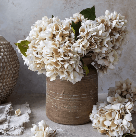 Hydrangea Morning Mist - Veranda Cafe & Mercantile