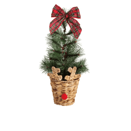 Large Reindeer Basket Fraser Fir Tree - Veranda Cafe & Mercantile