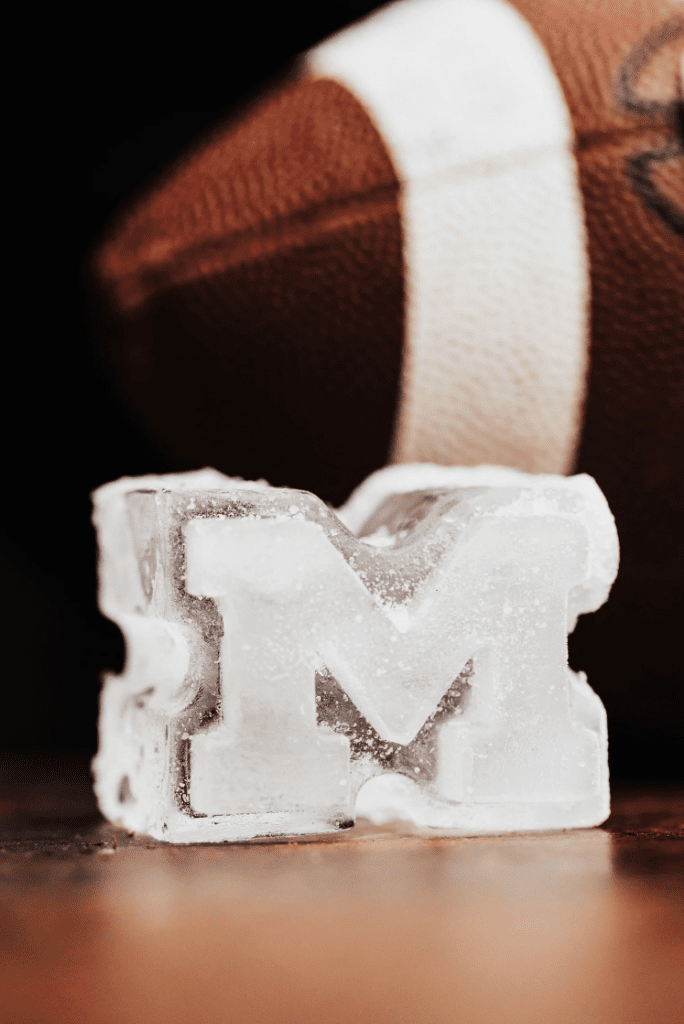 Michigan, University of Ice Molds Large - Veranda Cafe & Mercantile