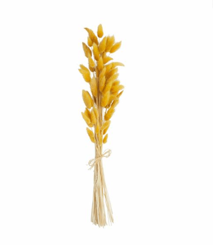 Mustard Fall Bunny Tail Bundle - Veranda Cafe & Mercantile
