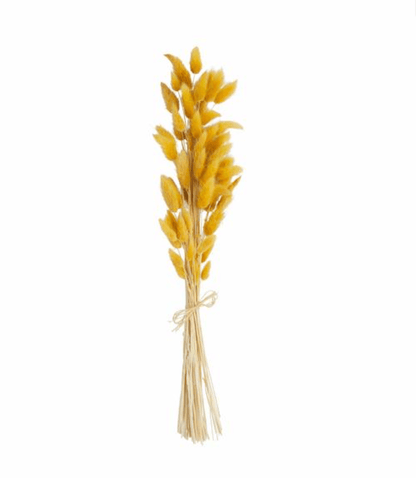 Mustard Fall Bunny Tail Bundle - Veranda Cafe & Mercantile