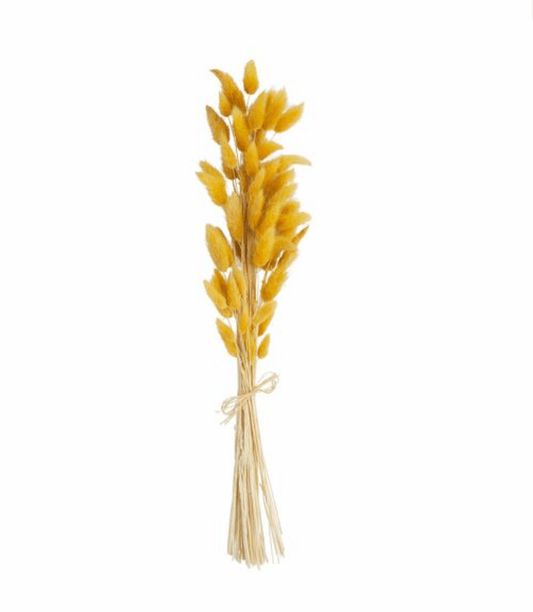 Mustard Fall Bunny Tail Bundle - Veranda Cafe & Mercantile