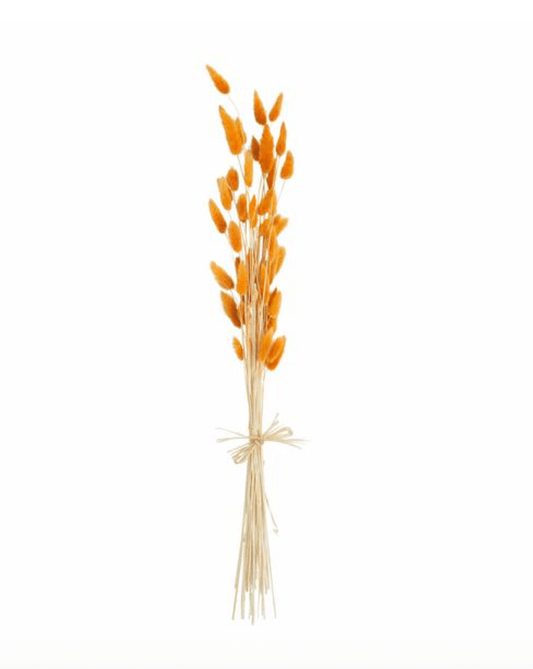 Orange Fall Bunny Tail Bundle - Veranda Cafe & Mercantile
