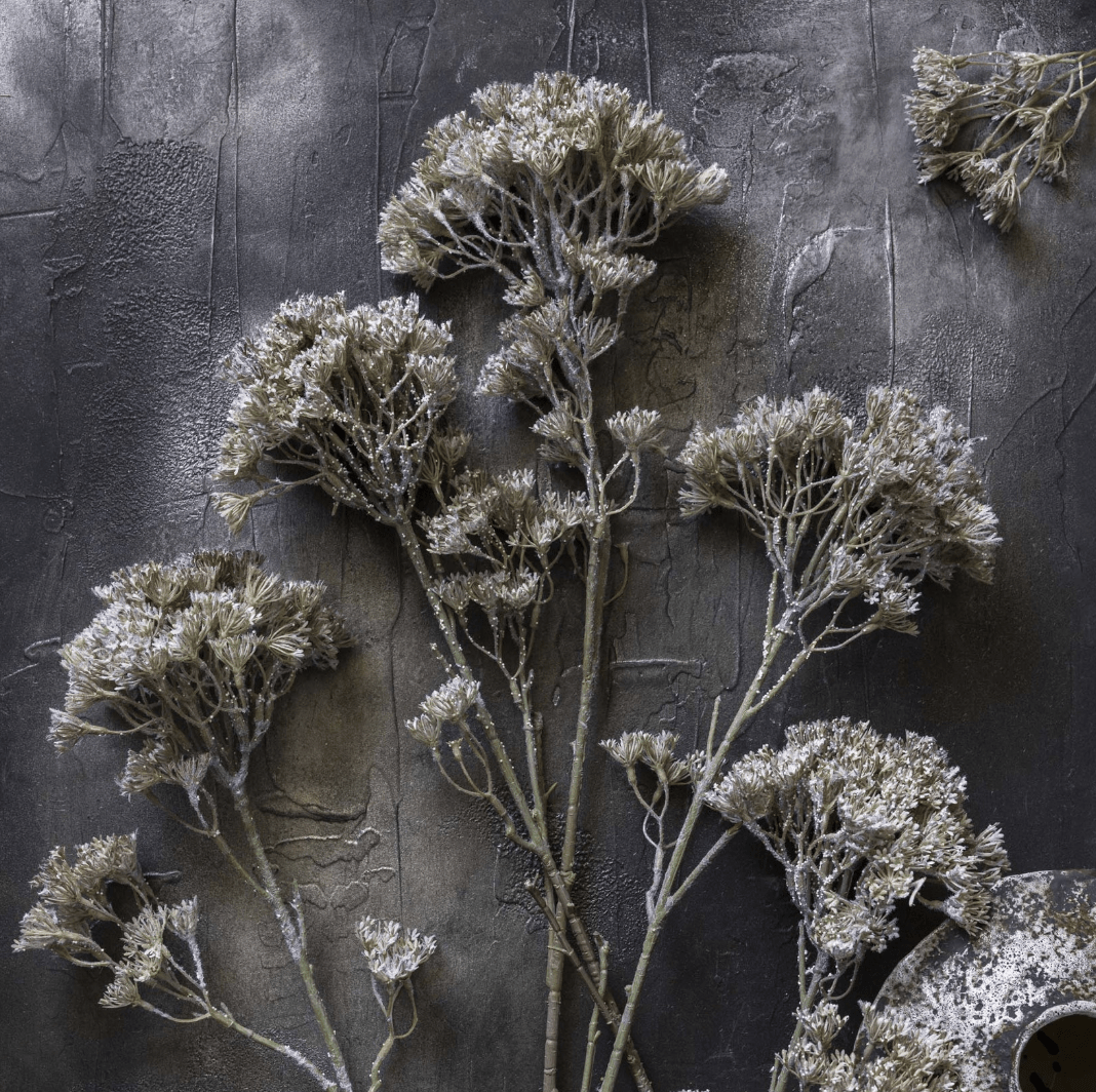 Orlaya Stem - Veranda Cafe & Mercantile