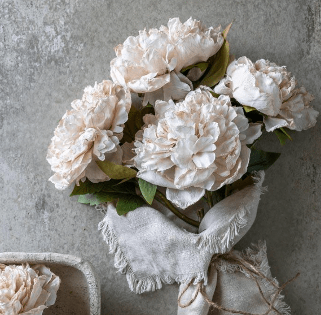 Peony Evening Dew - Veranda Cafe & Mercantile