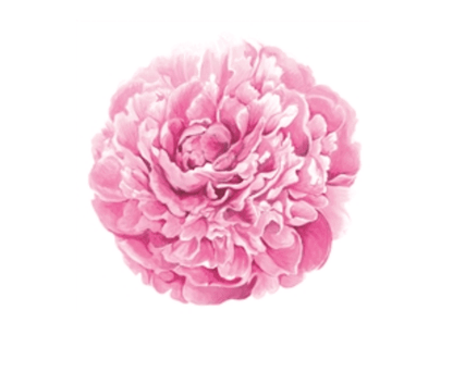 Peony Placemats - Veranda Cafe & Mercantile