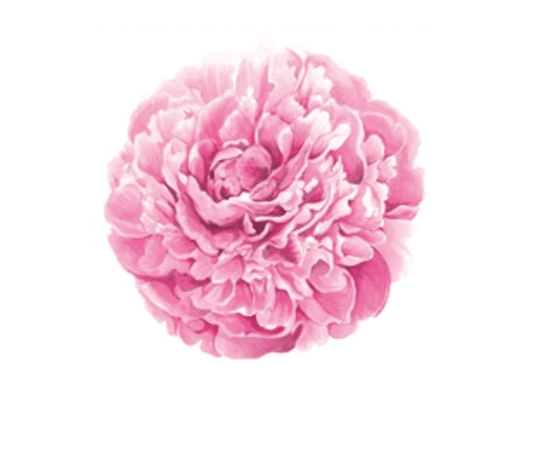 Peony Placemats - Veranda Cafe & Mercantile