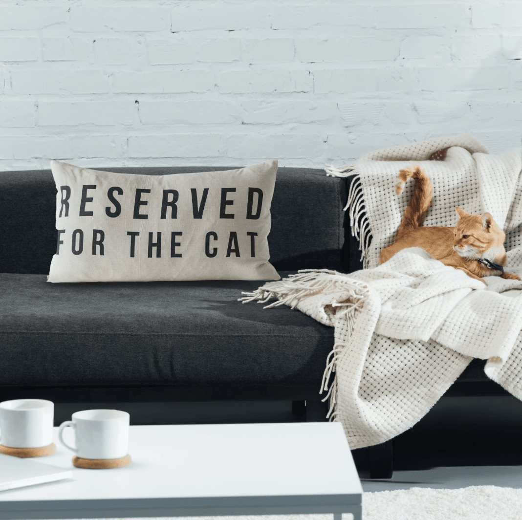 Reserved For The Cat Lumbar Pillow - Veranda Cafe & Mercantile