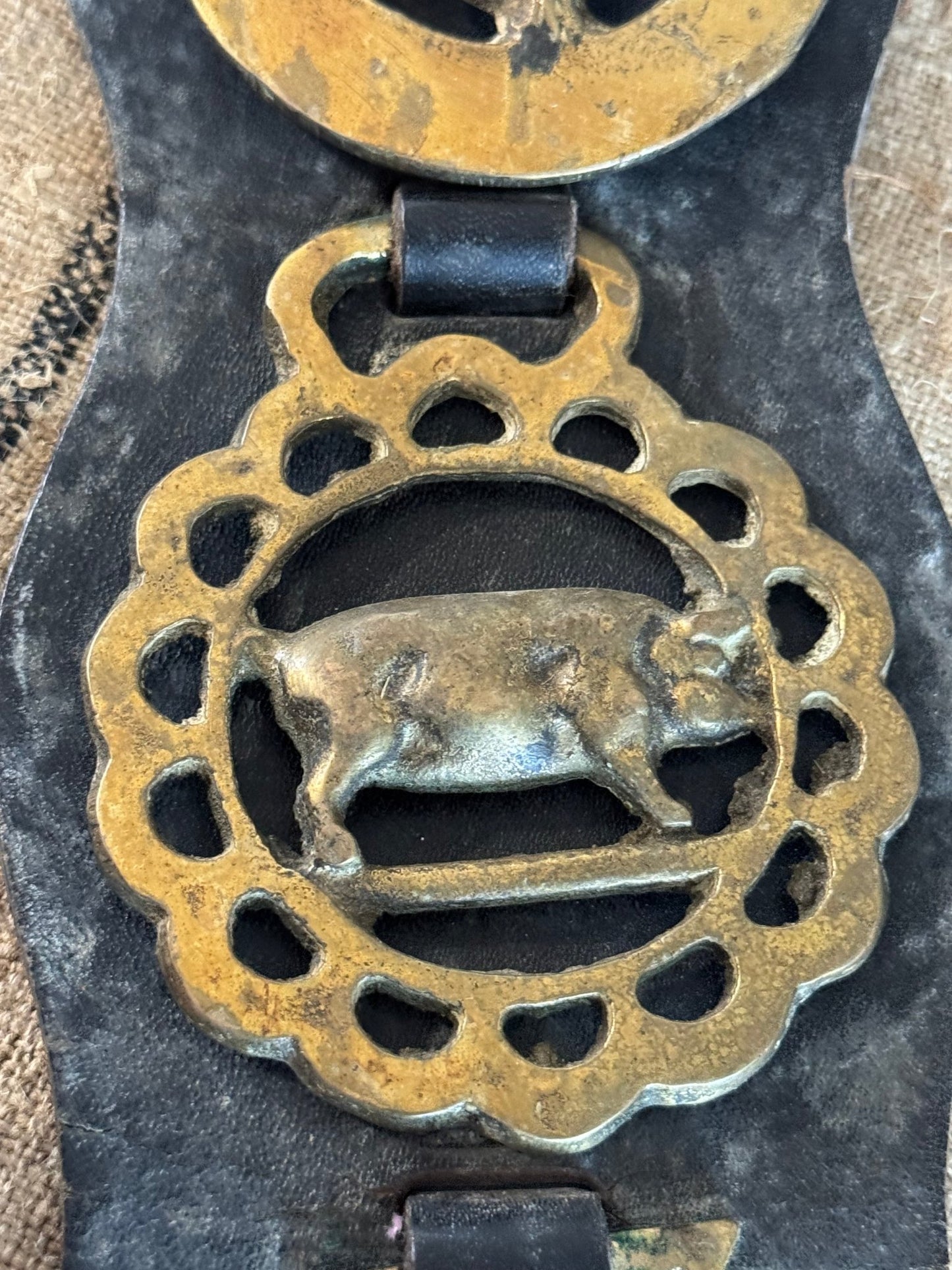 Set of Five Vintage Horse Brasses on Leather Strap - Veranda Cafe & Mercantile