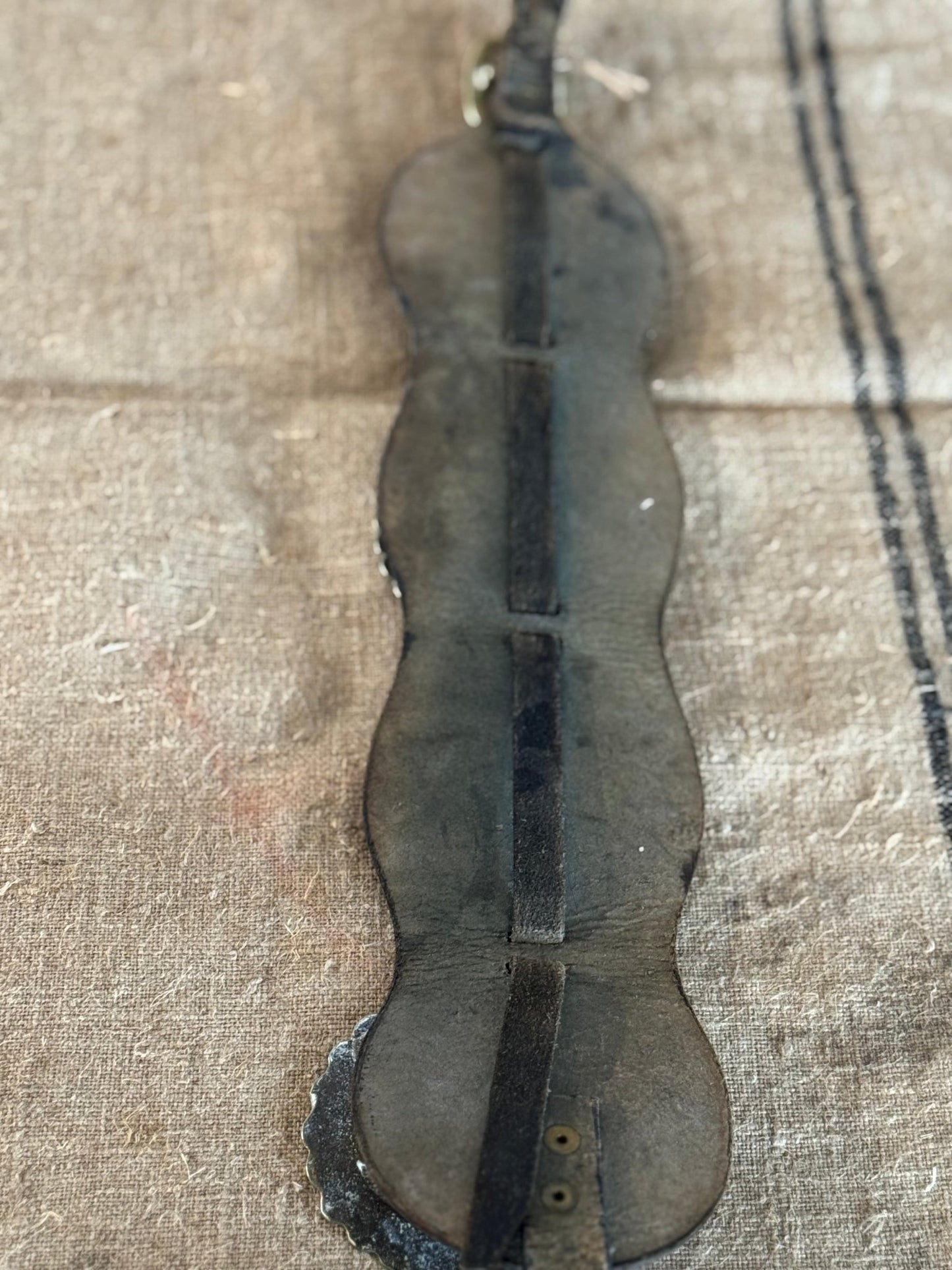 Set of Four Vintage Horse Brasses Mounted on Leather Strap - Veranda Cafe & Mercantile