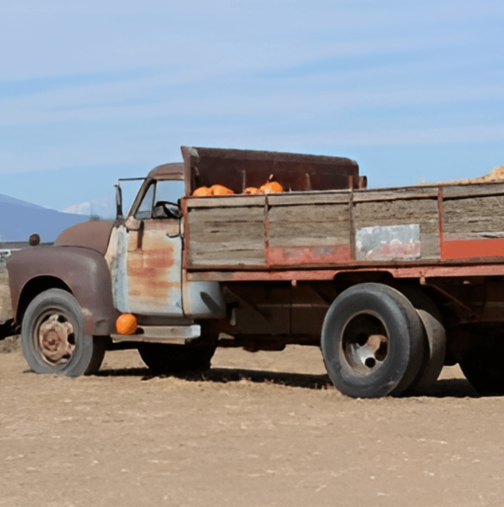 Three Crows Pumpkin Delivery Candle - Veranda Cafe & Mercantile