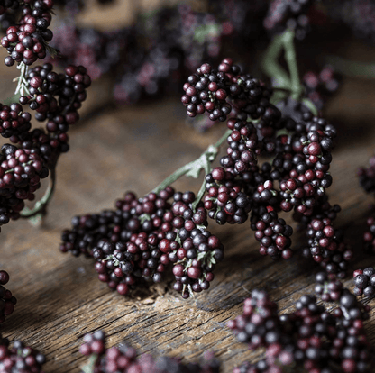 Wild Winter Berry, Claret - Veranda Cafe & Mercantile