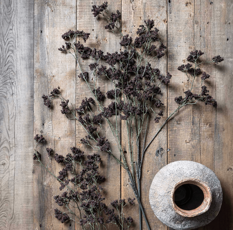 Wild Winter Berry, Claret - Veranda Cafe & Mercantile