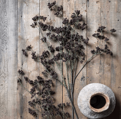 Wild Winter Berry, Claret - Veranda Cafe & Mercantile