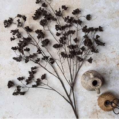 Wild Winter Berry, Claret - Veranda Cafe & Mercantile